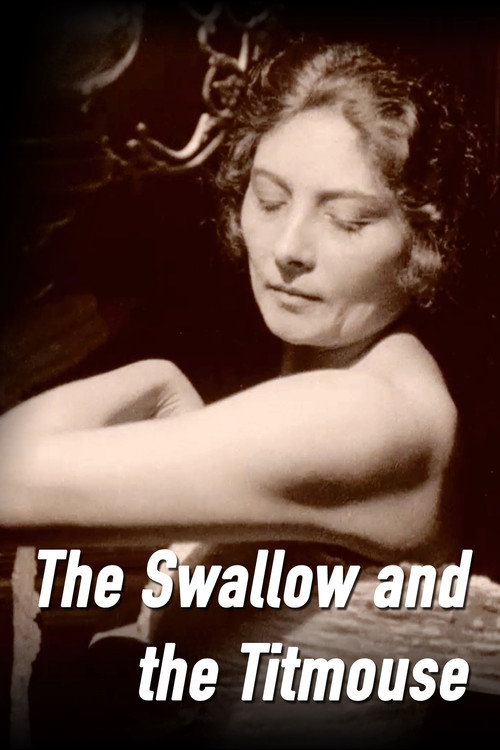 The Swallow and the Titmouse постер