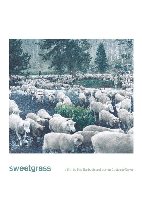 Sweetgrass постер