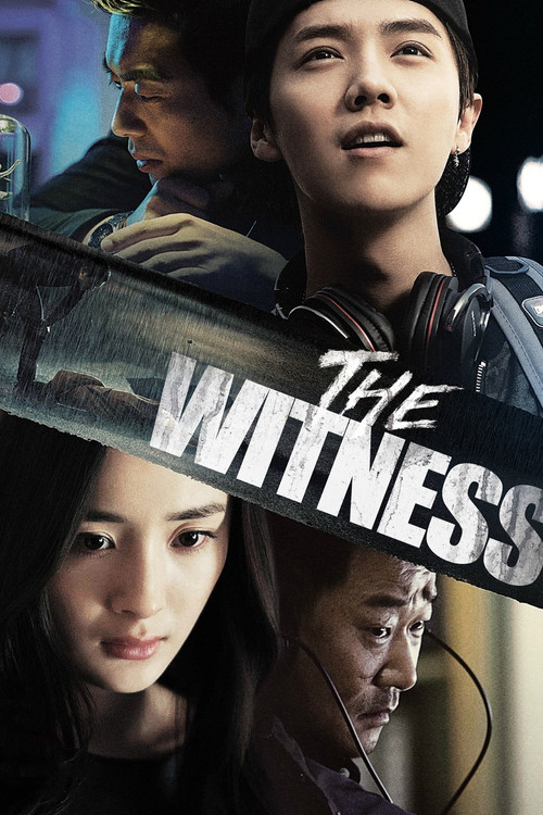 The Witness постер