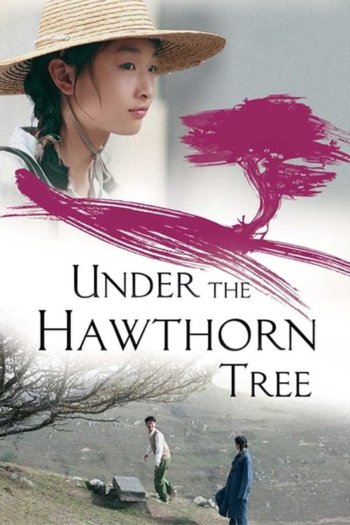 Under the Hawthorn Tree постер