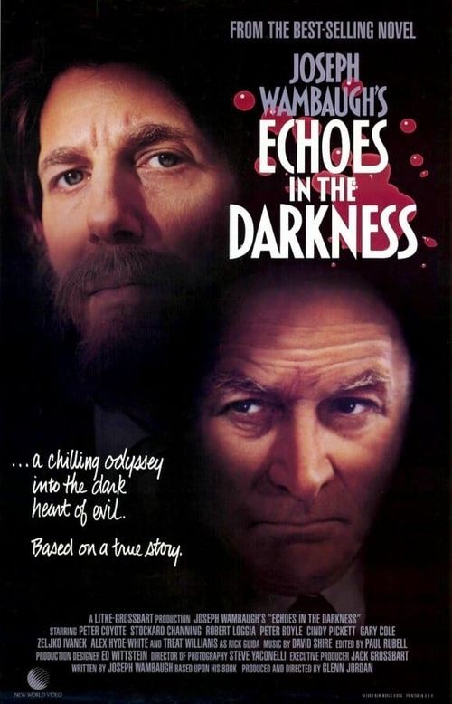 Echoes in the Darkness постер