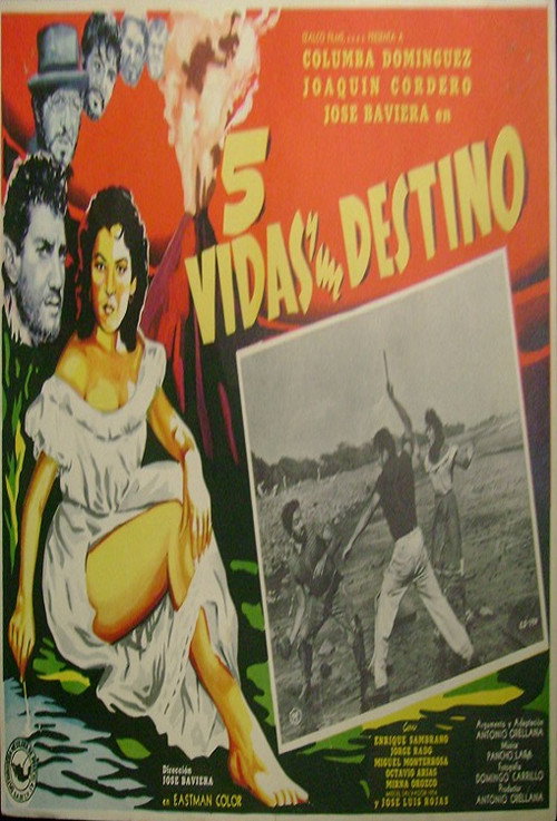 Cinco vidas y un destino постер