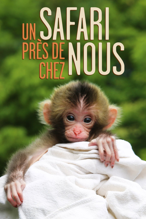 Un safari près de chez nous постер