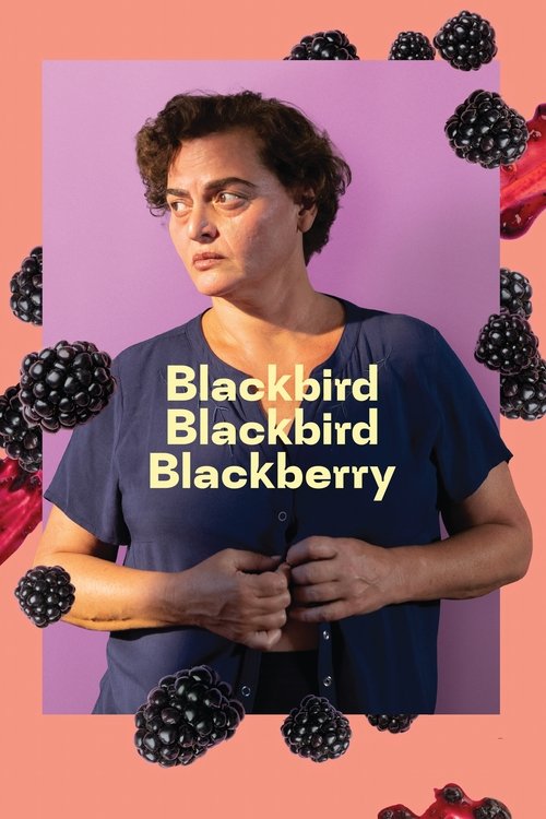 Blackbird Blackbird Blackberry постер