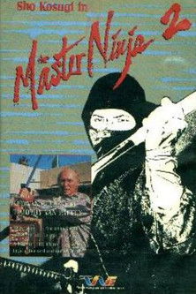 Master Ninja II постер