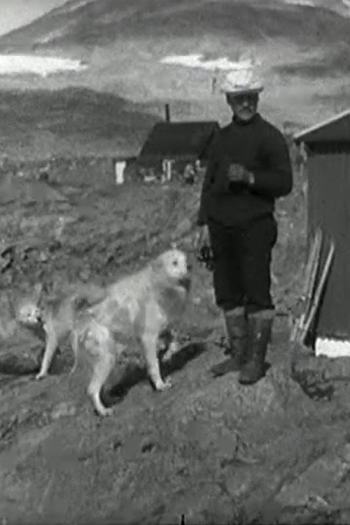 Grønlandsfilmen постер