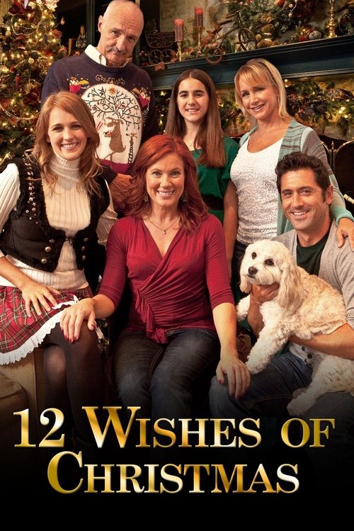 12 Wishes of Christmas постер