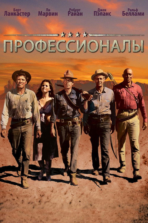 Профессионалы постер