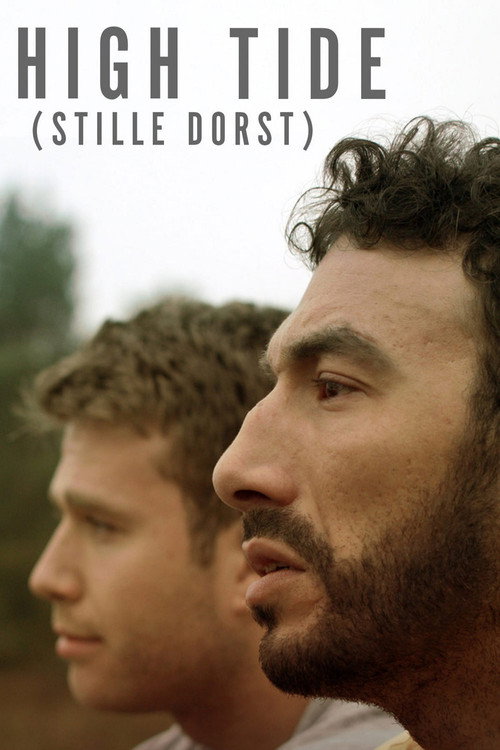 Stille Dorst постер