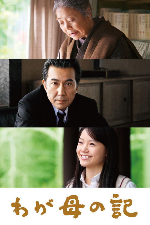 Хроники моей матери постер