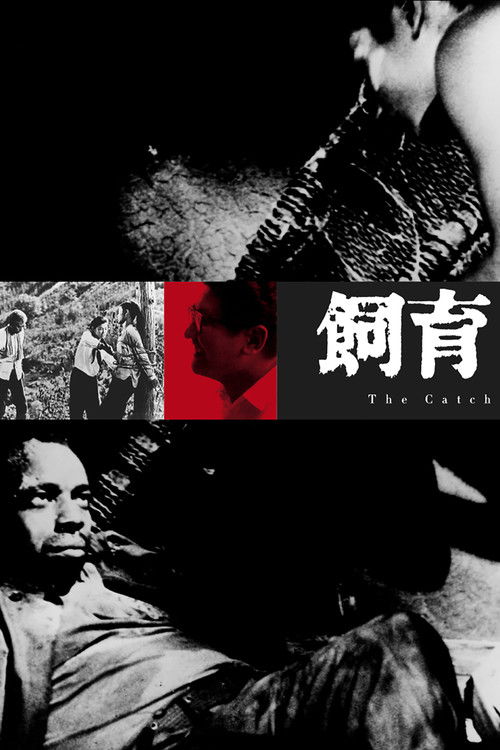 Содержание скотины постер