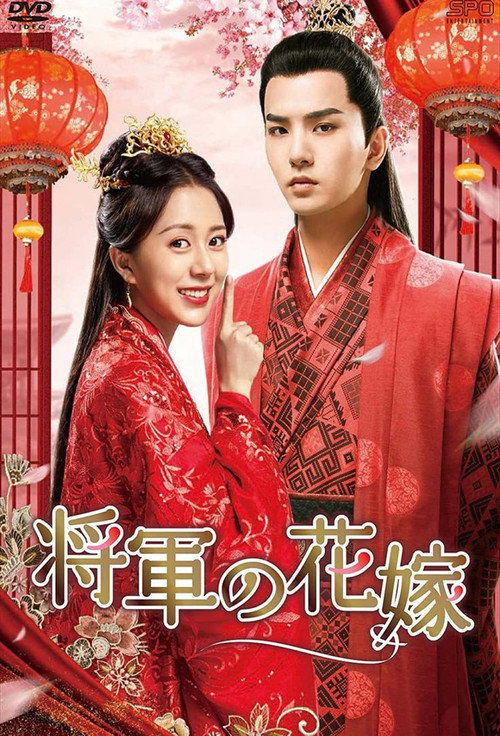 Леди генерала постер