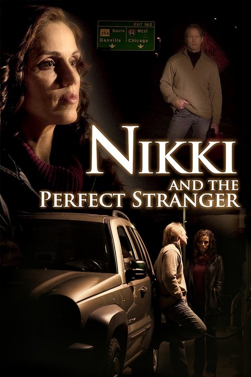 Nikki and the Perfect Stranger постер