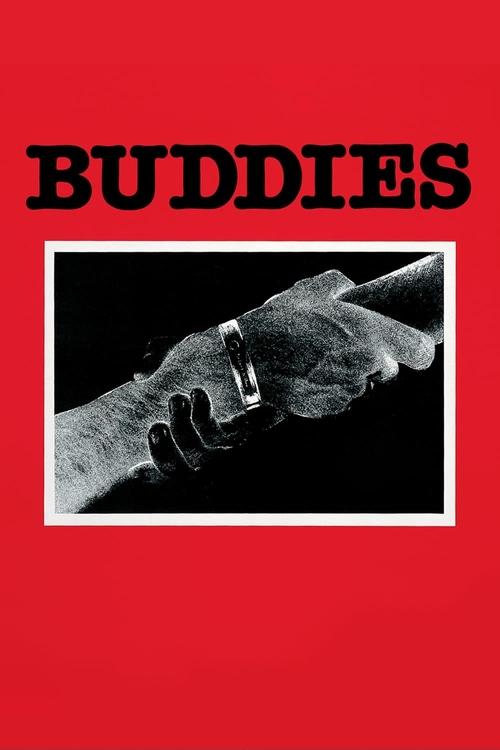 Buddies постер