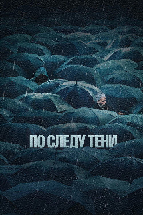 По следу тени постер