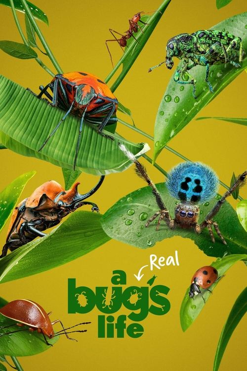 A Real Bug's Life постер