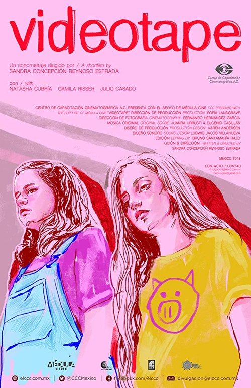 Videotape постер