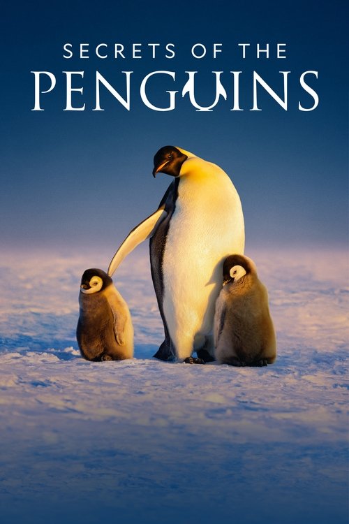 Secrets of the Penguins постер