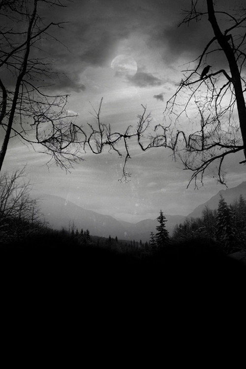 Dunderland постер