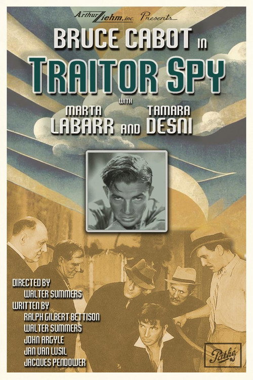 Traitor Spy постер