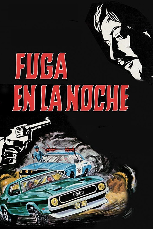 Fuga en la noche постер