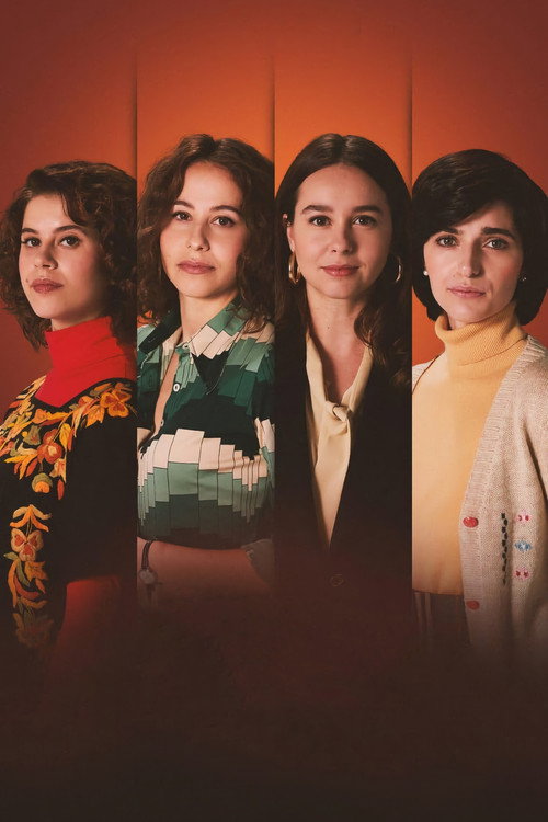 Las abogadas постер