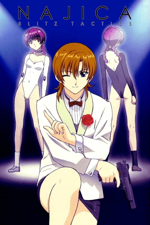 Агент Наджика постер