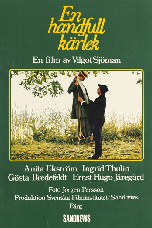 En handfull kärlek постер