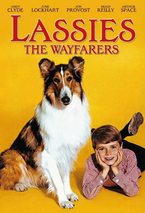 Lassie: The Wayfarers постер