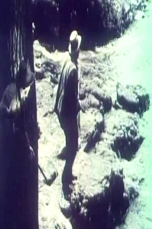 The Cub постер