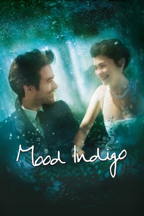 Mood Indigo постер