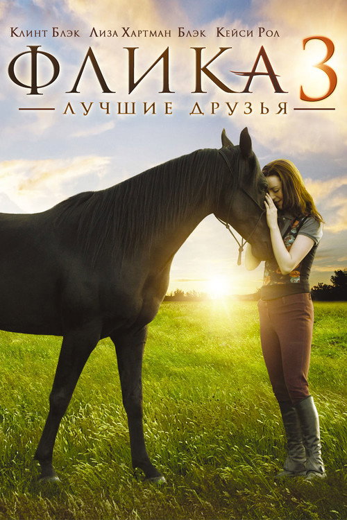 Флика 3 постер