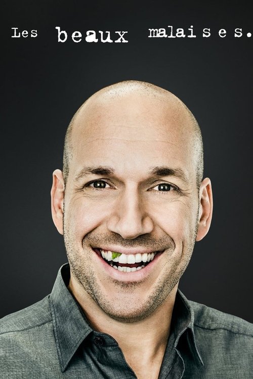 Les beaux malaises постер