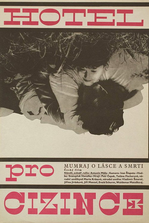 Hotel pro cizince постер