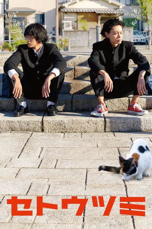 セトウツミ постер