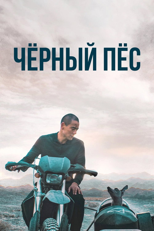 Чёрный пёс постер