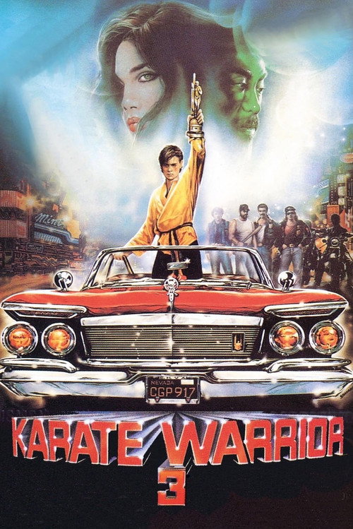 Karate Warrior 3 постер