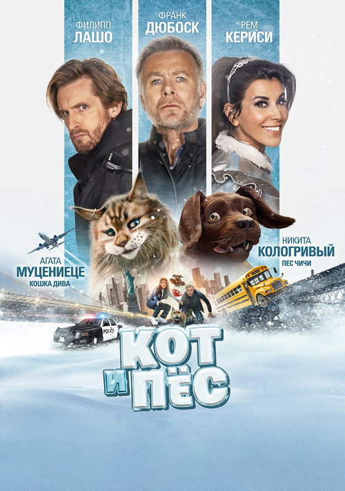 Кот и пёс постер