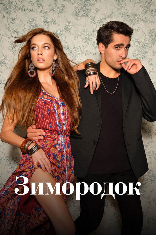 Зимородок постер