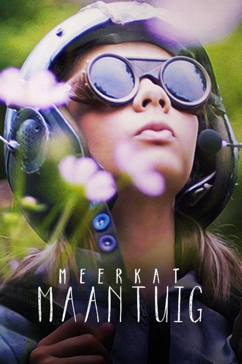 Meerkat Moonship постер