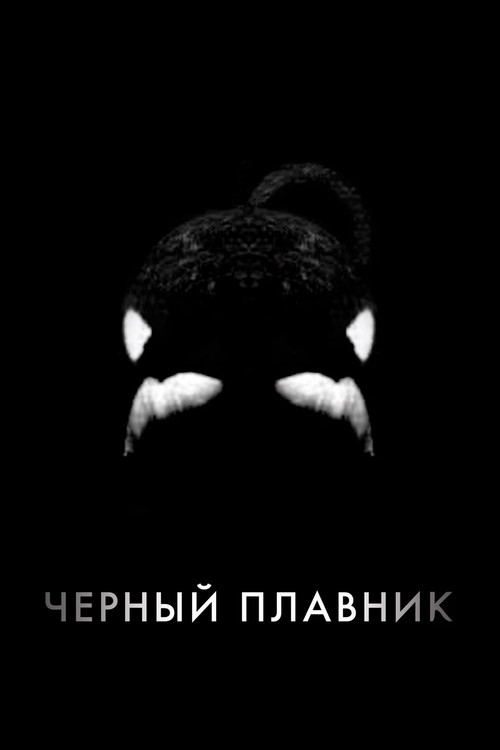 Чёрный плавник постер