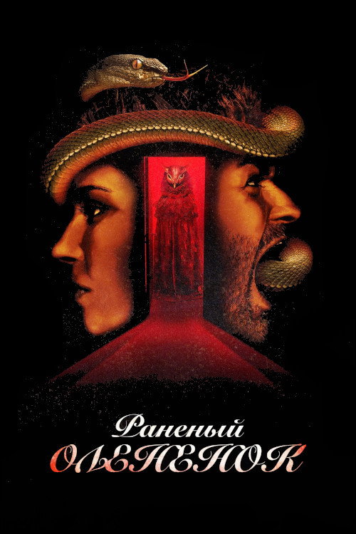 Раненый оленёнок постер