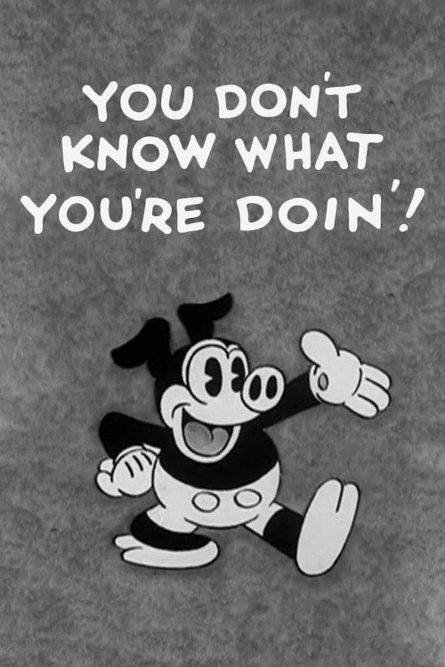 You Don't Know What You're Doin'! постер