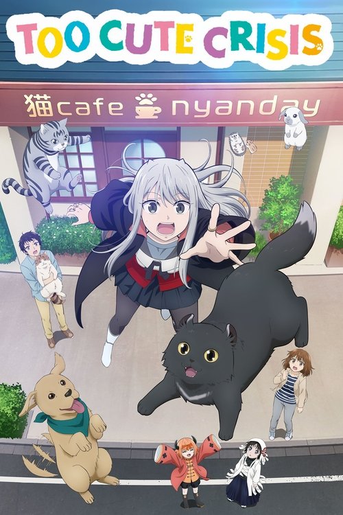 Too Cute Crisis постер