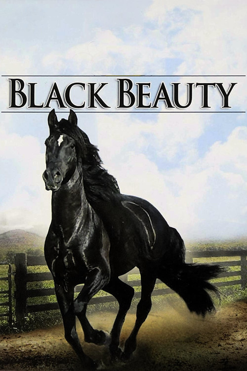 Black Beauty постер