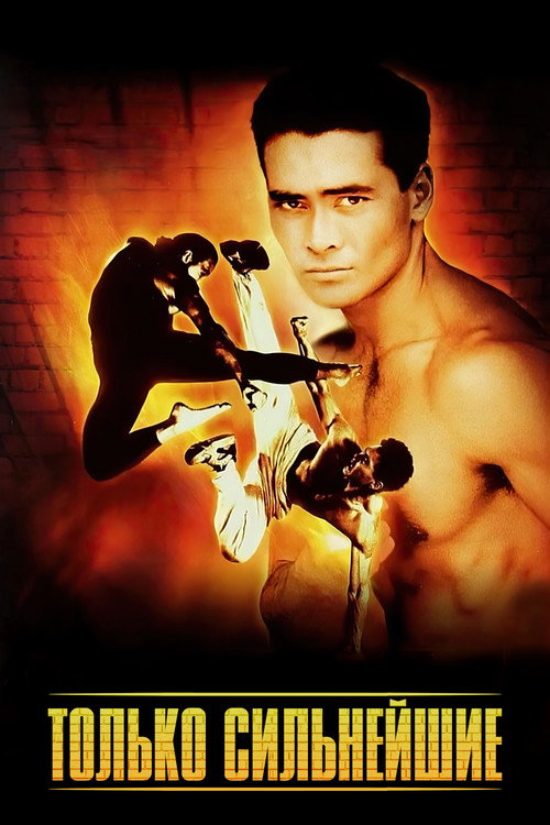 Только сильнейшие постер
