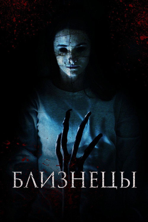 Близнецы постер