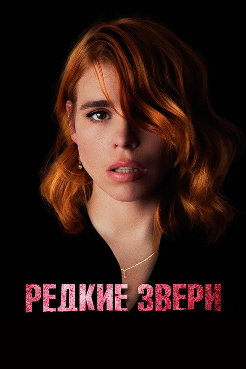 Редкие звери постер