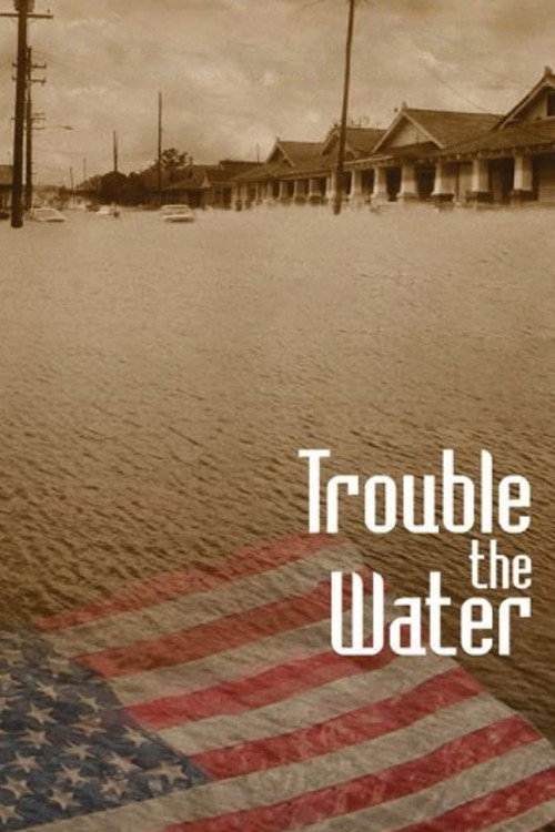 Trouble the Water постер