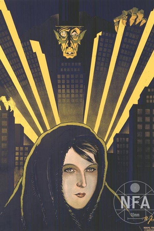 Chudá holka постер